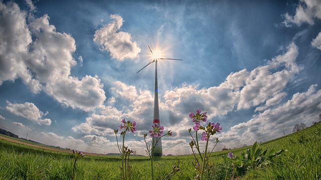 windmill-g5b9a7843d_640